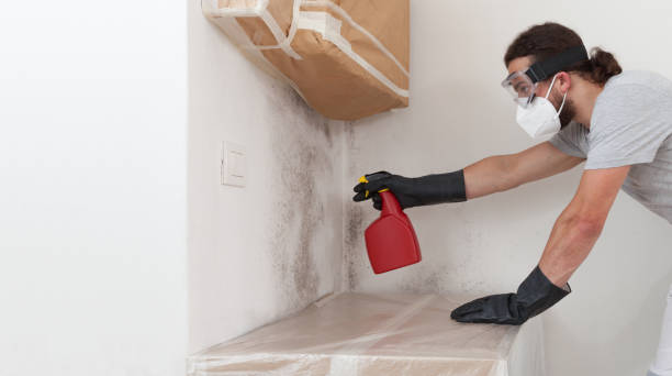 Professional Bathroom Mold Removal technician working in Wittman, MD